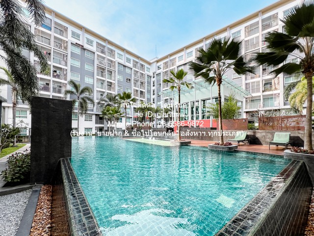 condominium เดอะ ทรัสต์ คอนโด นครปฐม The Trust Nakhonpathom 1199000 BAHT  30 square meter   ราคาคุ้ม นครปฐม
