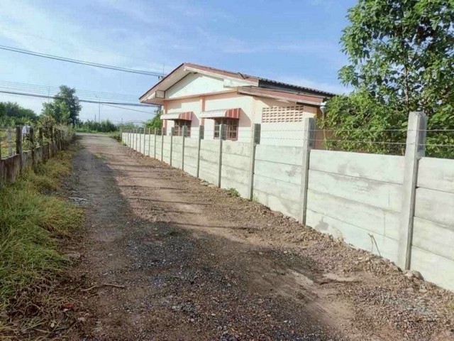 ที่ดิน - ขนาดเท่ากับ 100 Square Wah 0 NGAN 0 Rai  ใกล้กับ ปั๊มปตท. ตลาด หนองเสือ หนองหมู วิหารแดง ราคาดีสุด ถูกมาก ใกล้ปั๊ม ใกล้ตลาด ในชุมชน