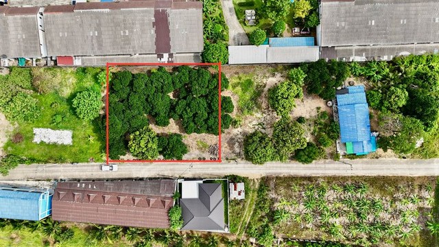 ขายที่ดินใกล้สวนเสือศรีราชา แปลงสวย ราคาดี แหล่งชุมชน FP-L01849 