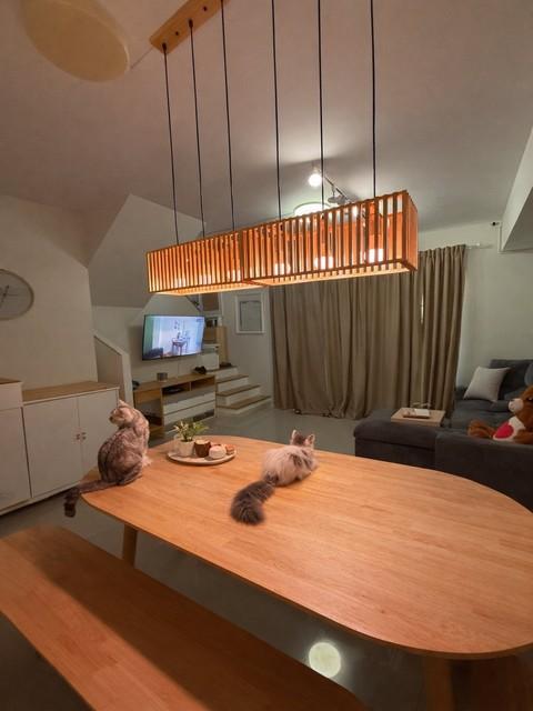 P2167 ให้เช่าทาวน์โฮม โครงการ พลีโน่ บางนา-อ่อนนุช ซอยกิ่งแก้ว 37 บ้านสวย บรรยากาศดี ทำเลสะดวก พร้อมเข้าอยู่ ใกล้สนามบินสุวรรณภูมิ