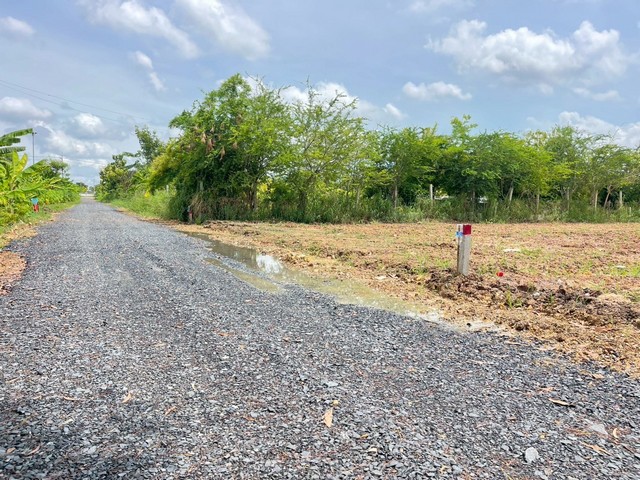 ขายด่วน ๆ ที่ดิน -  พ.ท. 0 RAI 0 NGAN 100 ตารางวา 10000 THB ใกล้ มอเตอร์เวย์ วัดปัญญานันทาราม คลองสี่ คลองหลวง เดินทางง่าย