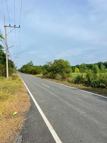 ID :  -   พื้นที่ดิน - ใกล้กับ ถนนลาดยาง คลอง9 หนองเสือ วังน้อยอยุธยา คลองรพีพัฒน์ 700000 BAHT  200 Square Wah 0 งาน 0 Rai ราคา-ถูก