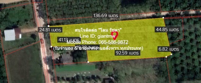 ขายด่วน! พื้นที่ดิน ที่ดิน พร้อมสวนเกษตร (สวนยาง+มะพร้าว) ต.ชัยบุรี อ.เมืองพัทลุง จ.พัทลุง  2988 ตาราง-วา 4500000 B. ใกล้ วัดวิหารสูง, วัดมะกอกเหนือ และโรงเรียนวัดมะกอกใต้ ทำเลสวย