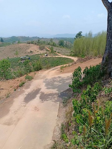 ที่ดิน ที่ดิน ต.ปอน อ.ทุ่งช้าง จ.น่าน ขนาด = 408 RAI 1 Ngan 3 sq.wa    ถูกและดี น่าน   