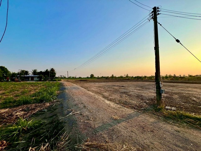 พื้นที่ดิน - 400 ตร.ว.  ใกล้ อบต.ทัพหลวง  เซเว่น ซีเจ ท่ารถตู้69 ราคาถูกกว่าตลาด ถมแล้ว ถูกมาก น้ำไม่ท่วง น้ำไฟหน้าแปลง 