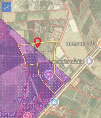 ขายที่ดิน 137 ไร่  สีม่วงลาย คลองกิ่ว  อำเภอบ้านบึง  ชลบุรี