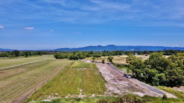 พื้นที่ดิน - ราคานี้คุ้มมาก