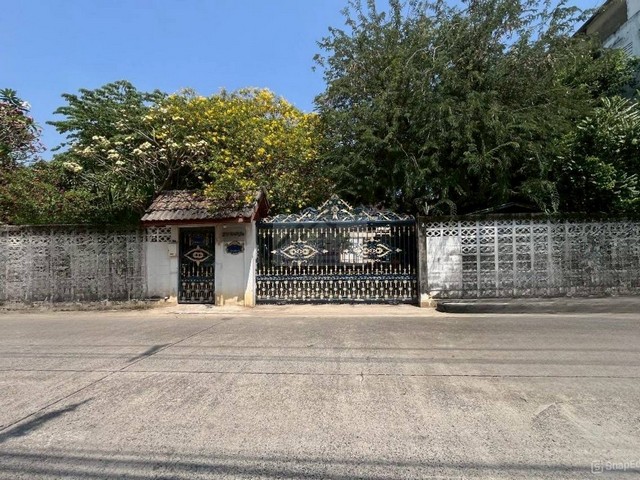 ขายบ้านเดี่ยว 2 ชั้น 224 ตรว. ซอยนวมินทร์95 พื้นที่กว้างขวาง ต้นไม้ร่มรื่น ใกล้แยกโพธิ์แก้ว เกษตรนวมินทร์ ลาดพร้าว เลียบด่วน 