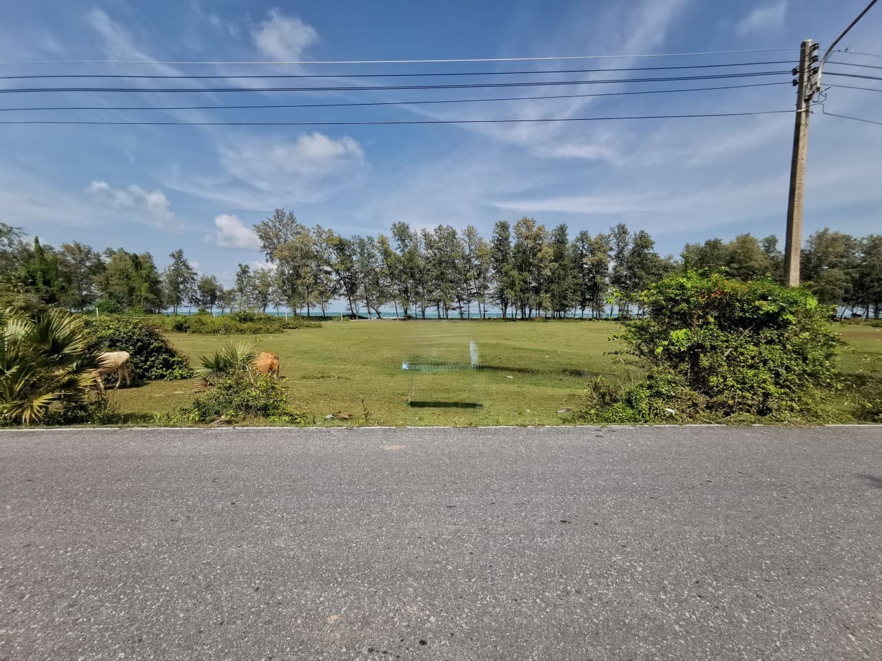 ขาย ที่ดินเปล่า ระโนด แยกจากถนนเทศบาล 16 อำเภอ ระโนด จังหวัด สงขลา