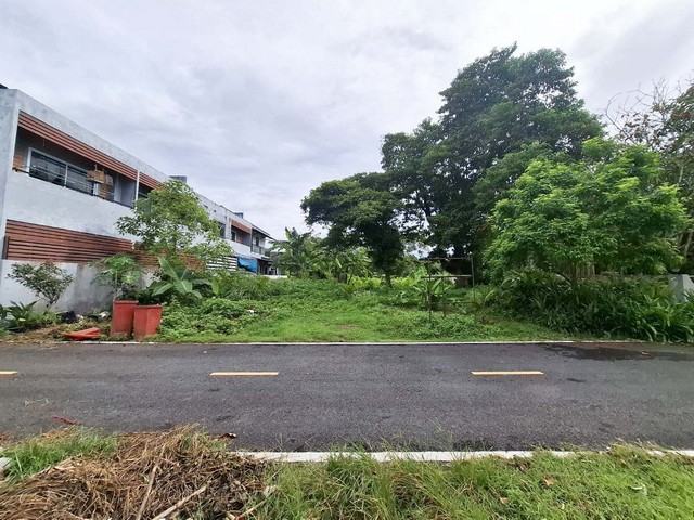 ขายที่ดินว่างเปล่า        อำเภอทุ่งสง นครศรีธรรมราช