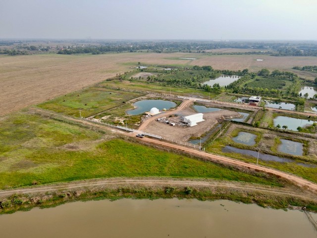 ที่ดิน - สภาพเยี่ยม!