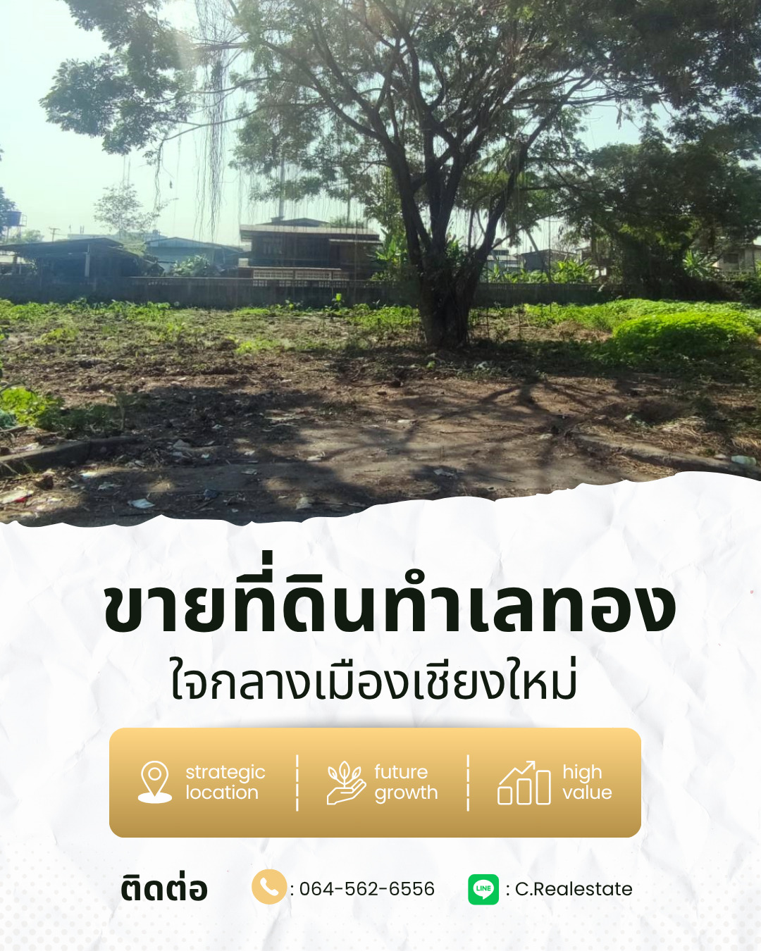 5 นาที โลตัสคำเที่ยง ที่ดินใจกลางเมืองใกล้แม่น้ำปิง  298 ตร.วา ต.ป่าตัน อ.เมือง จ.เชียงใหม่