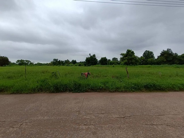  ขาย ที่ดินเปล่า พุดซา จังหวัดนครราชสีมา ราคาโปรโมชั่น ลดพิเศษ