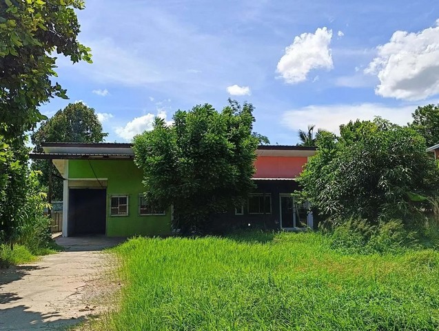  ขายบ้านเดี่ยว บ้านไผ่ จังหวัดขอนแก่น  ห่างจาก บิ๊กซีซูเปอร์เซ็นเตอร์บ้านไผ่ เพียง 6.70 กม.