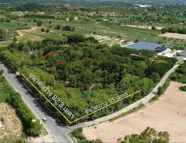 ขายที่ดินเปล่าแปลงสวย พื้นที่สีเหลือง ติดถนนสันติคาม บางละมุง ชลบุรี FP-L01923 