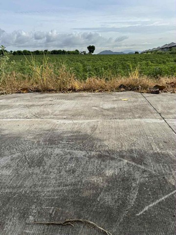 ขายที่ดินแปลงสวย โซนเขาขยาย บ่อวิน ศรีราชา ชลบุรี FP-L01891 