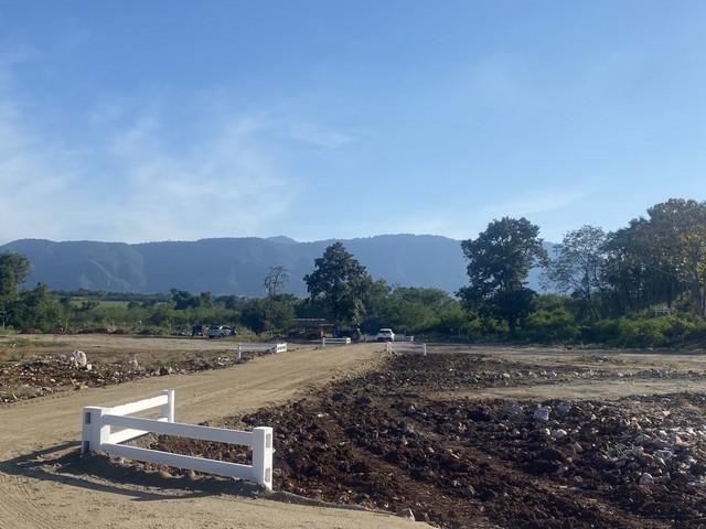 ที่ดิน - ขนาดพื้นที่ 376 ตาราง-วา 0 Ngan 0 RAI  3647200 - ไม่ไกลจาก เขาใหญ่ หมูสี Good วิวเขา โฉนดครุฑแดง หมูสีโคราช เขาใหญ่ 